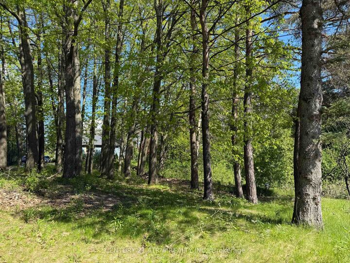 Property Photo:  14178 Yonge Street  ON L4G 0P5 