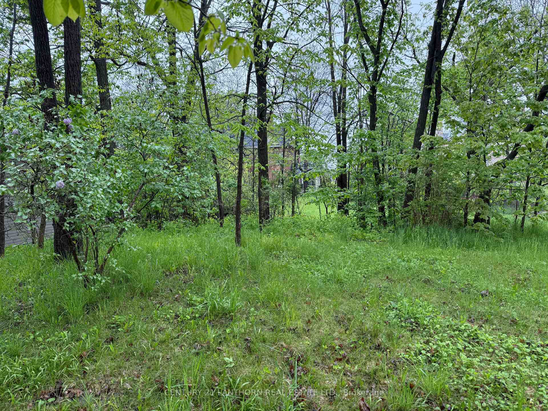 Property Photo:  29 Rollins Street  ON K0K 2K0 