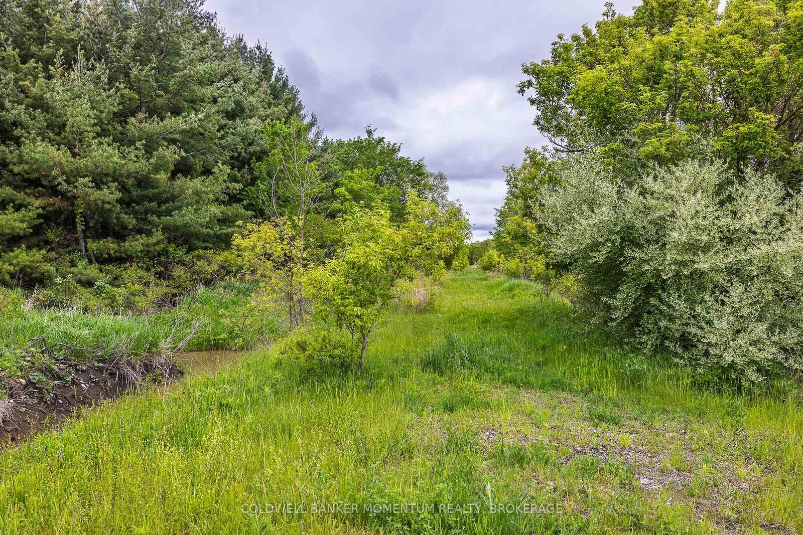 Property Photo:  1969 Hutchinson Road  ON N1A 2W2 