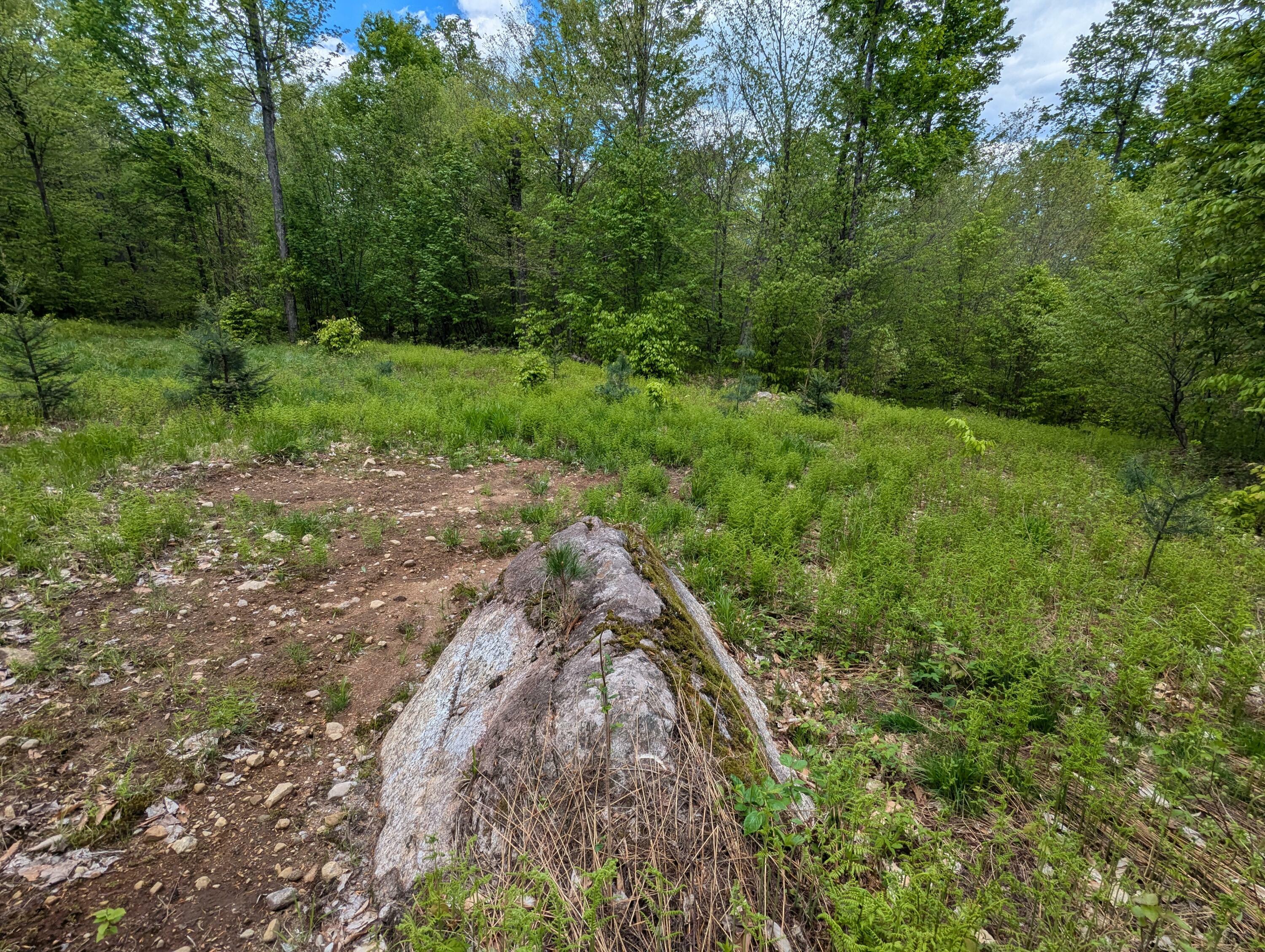 Property Photo: Lot #6 County Route 60 NY 12976