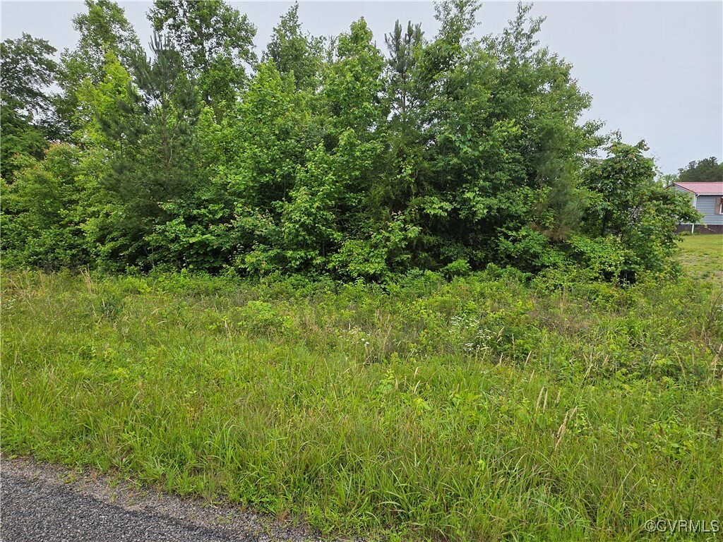 Property Photo: 0 Tbd Plank Road VA 23944