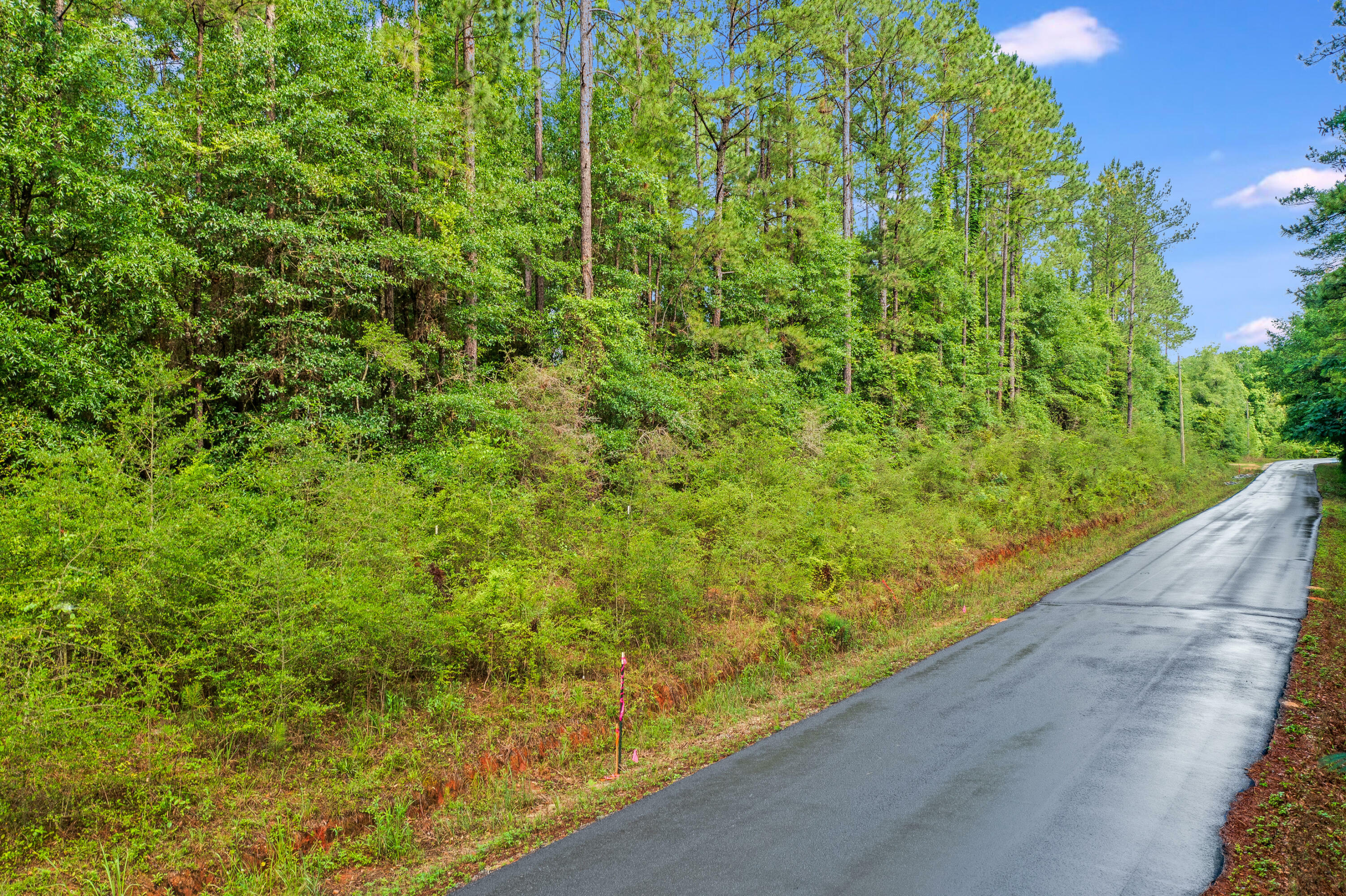 Property Photo: 6.12 Ac Clary Road FL 32567