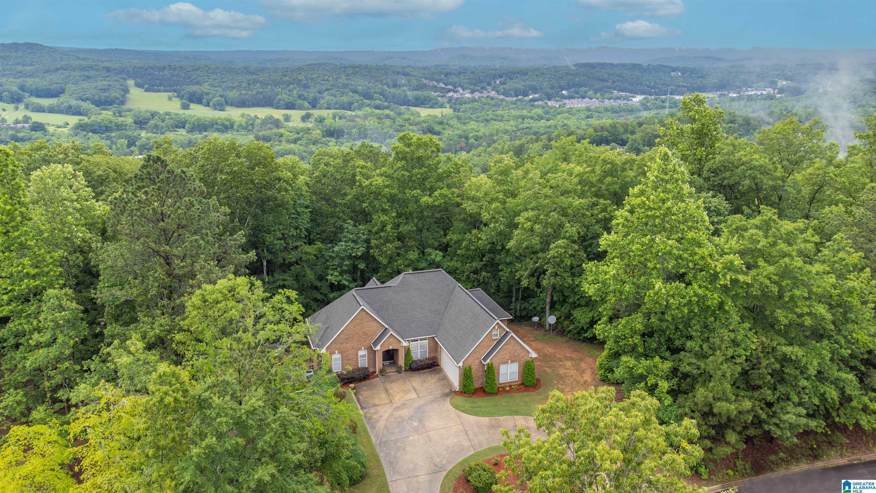 Property Photo: 121 Middle Ridge Trail AL 35146