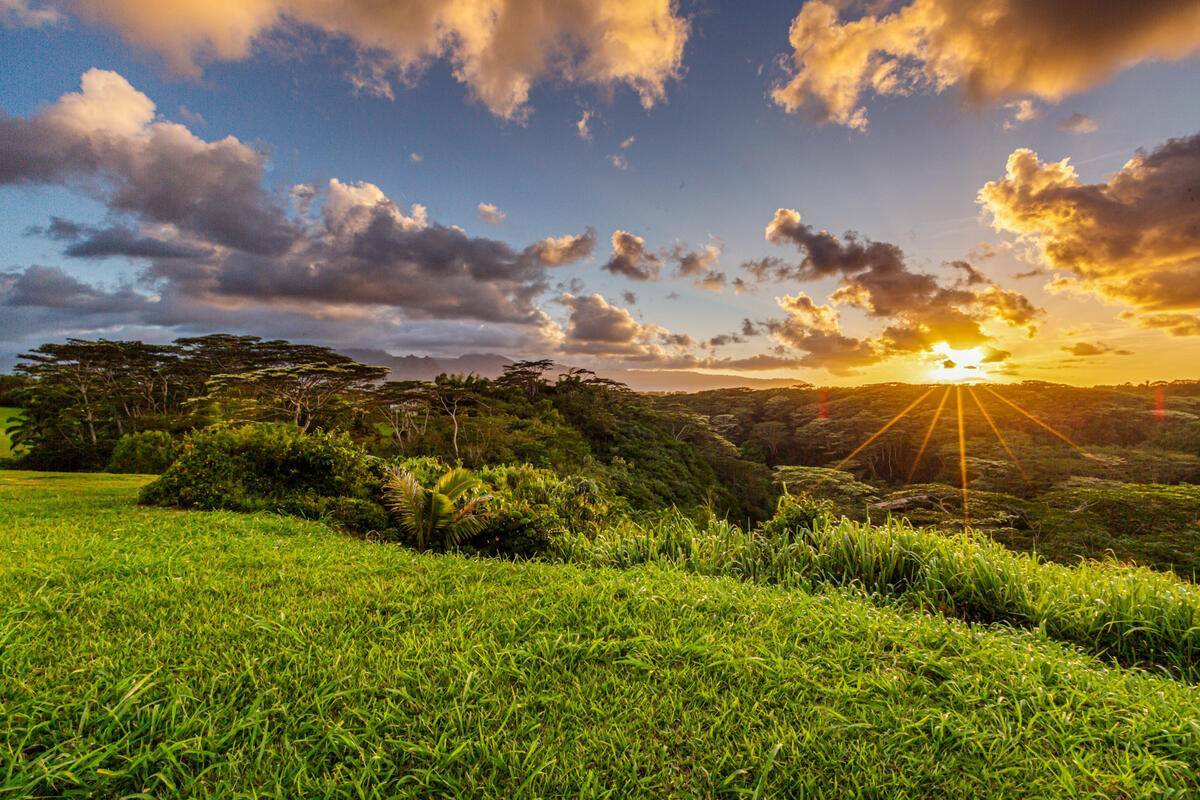 Property Photo:  4858 Kahiliholo Rd Unit # 3  HI 96754 