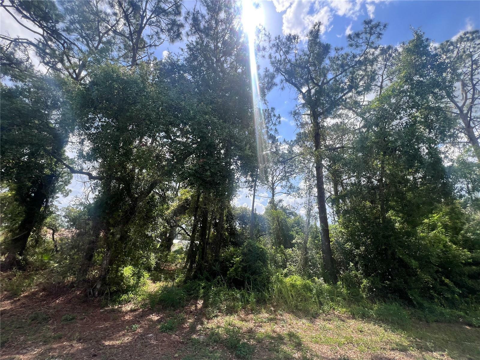 Property Photo:  4021 Simca Street  FL 33872 
