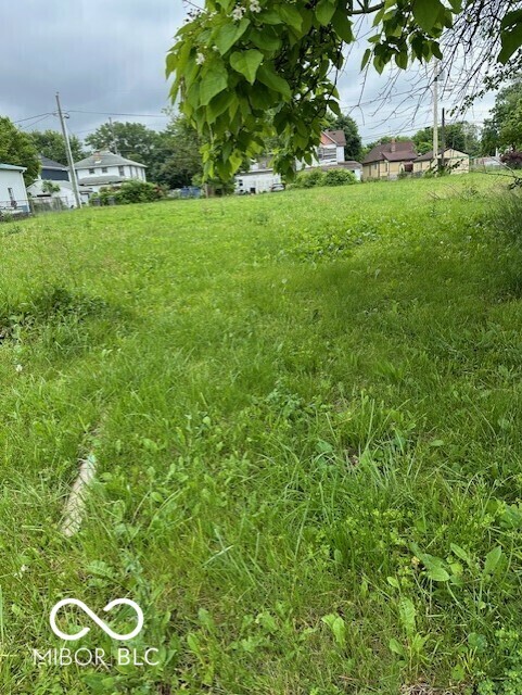 Property Photo: 1617 Dr Andrew J Brown Avenue IN 46202