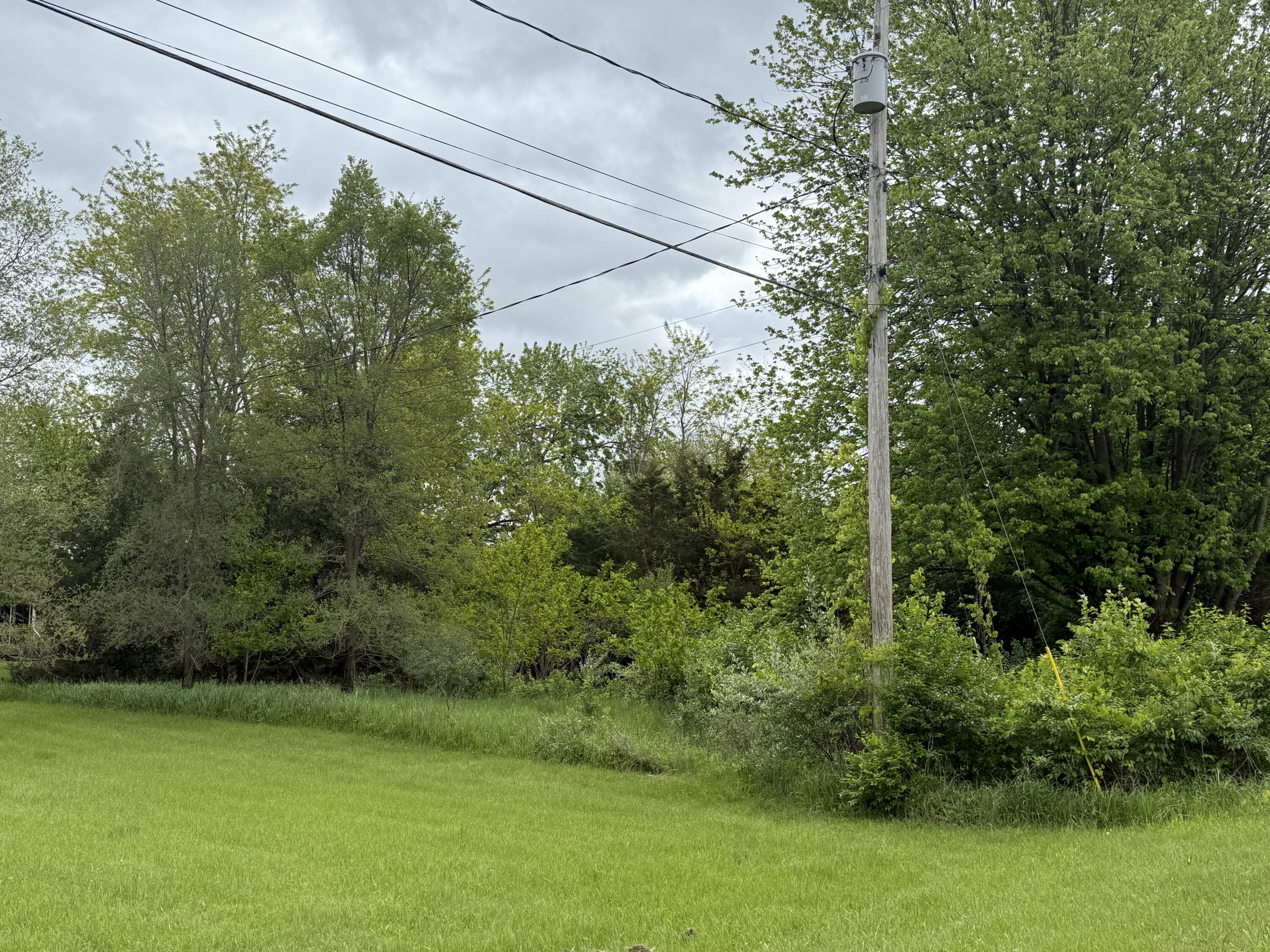 Property Photo: Vl Carlysle Drive MI 49230