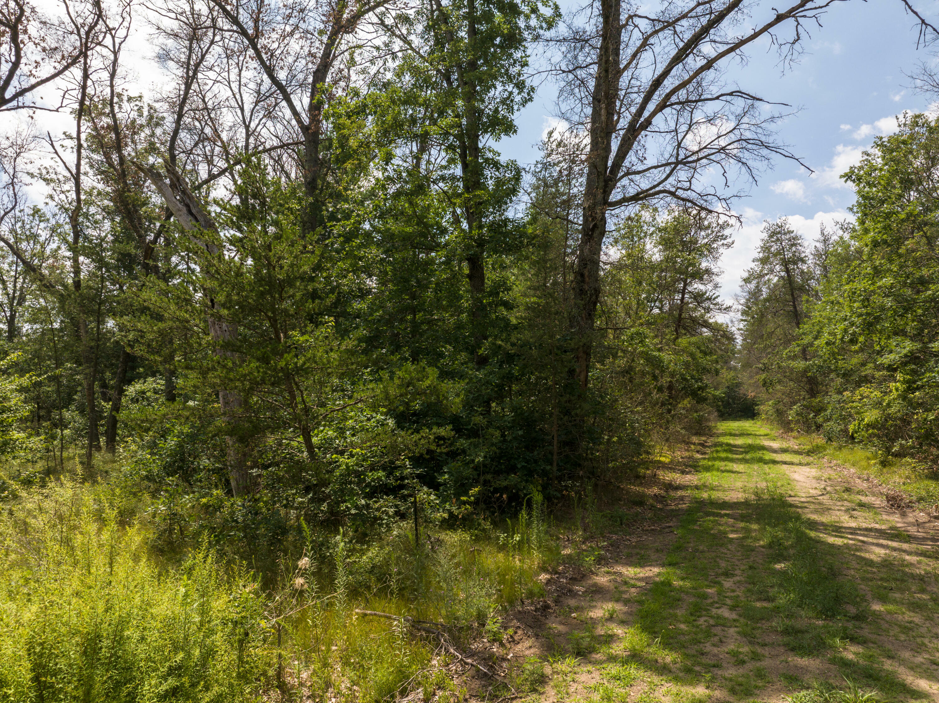 Property Photo: Lots 8-14 St Louis MI 49642