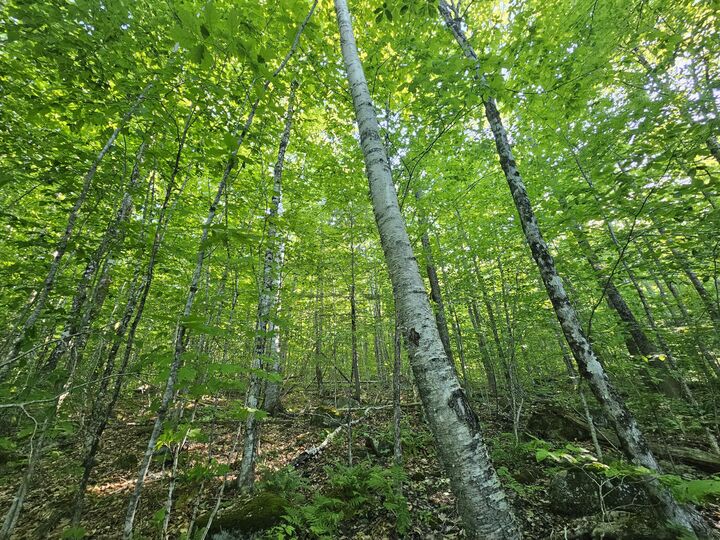 Property Photo:  PO M23-L6 Great Moose Drive  ME 04943 