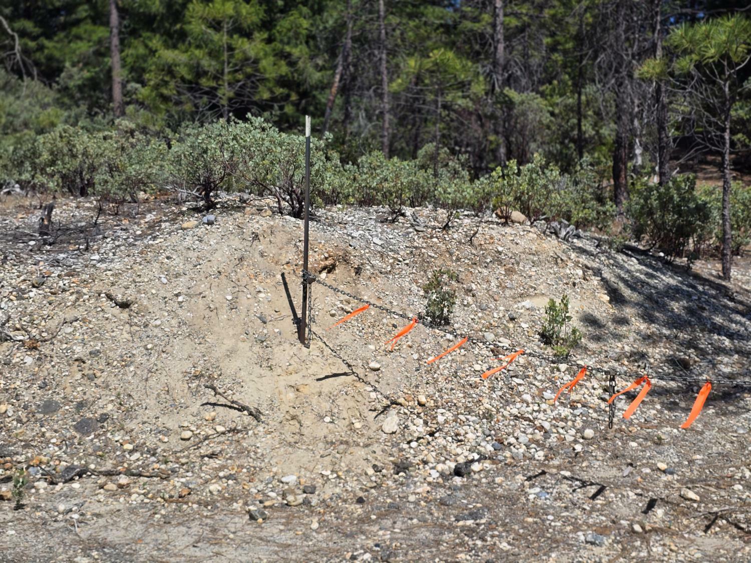 Property Photo: 13091 Sailor Flat Road CA 95959
