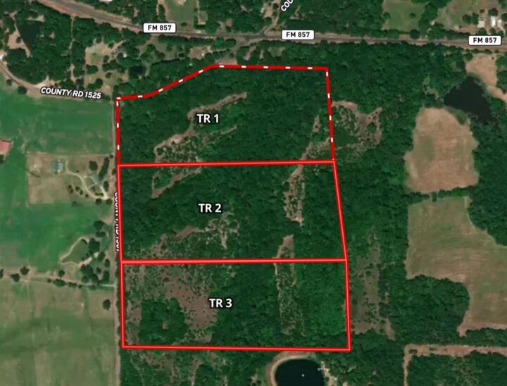 Property Photo:  Tract 1 Tbd Vzcr 1507  TX 75140 