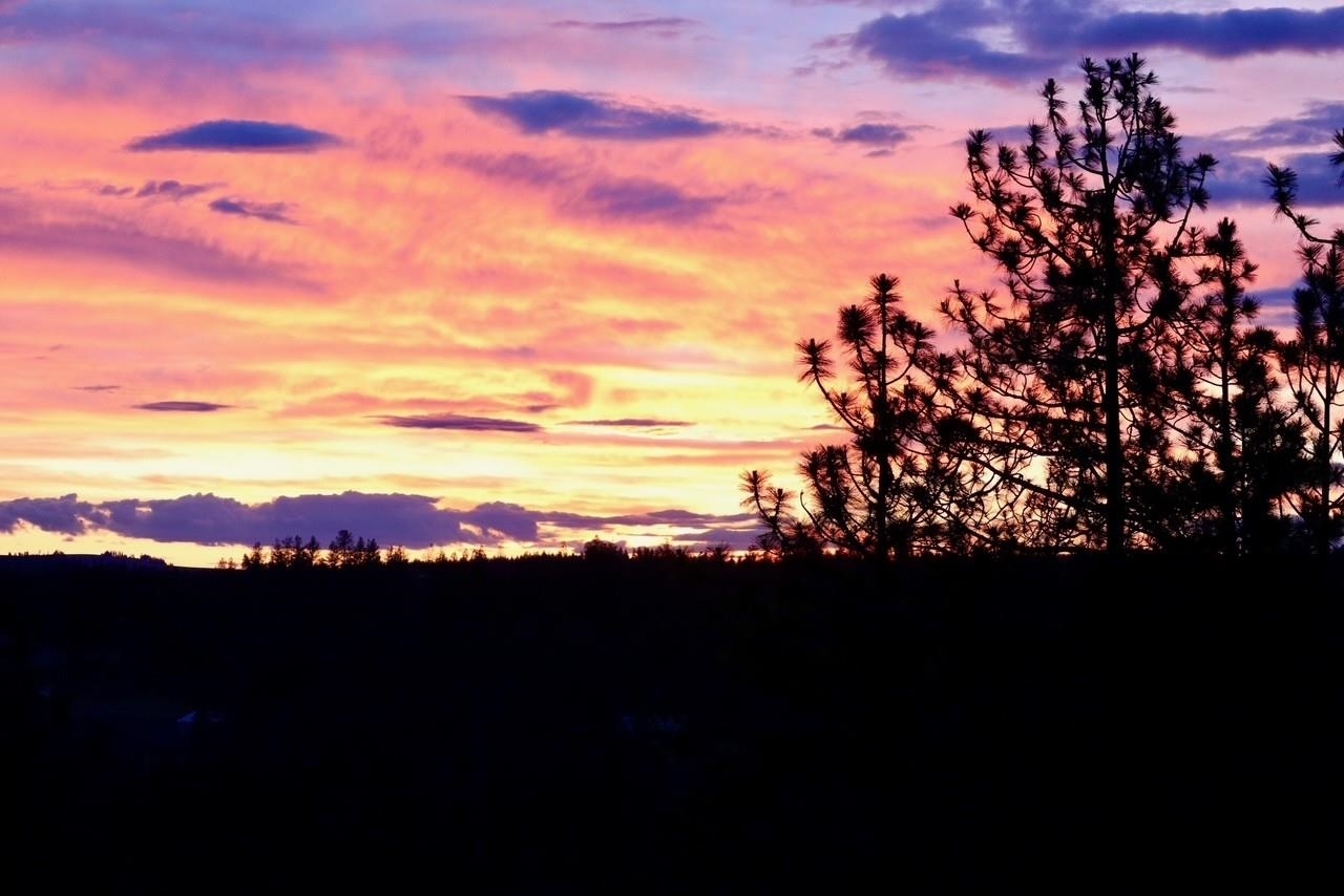 Property Photo: 2221 N Fairchild Dr WA 99022