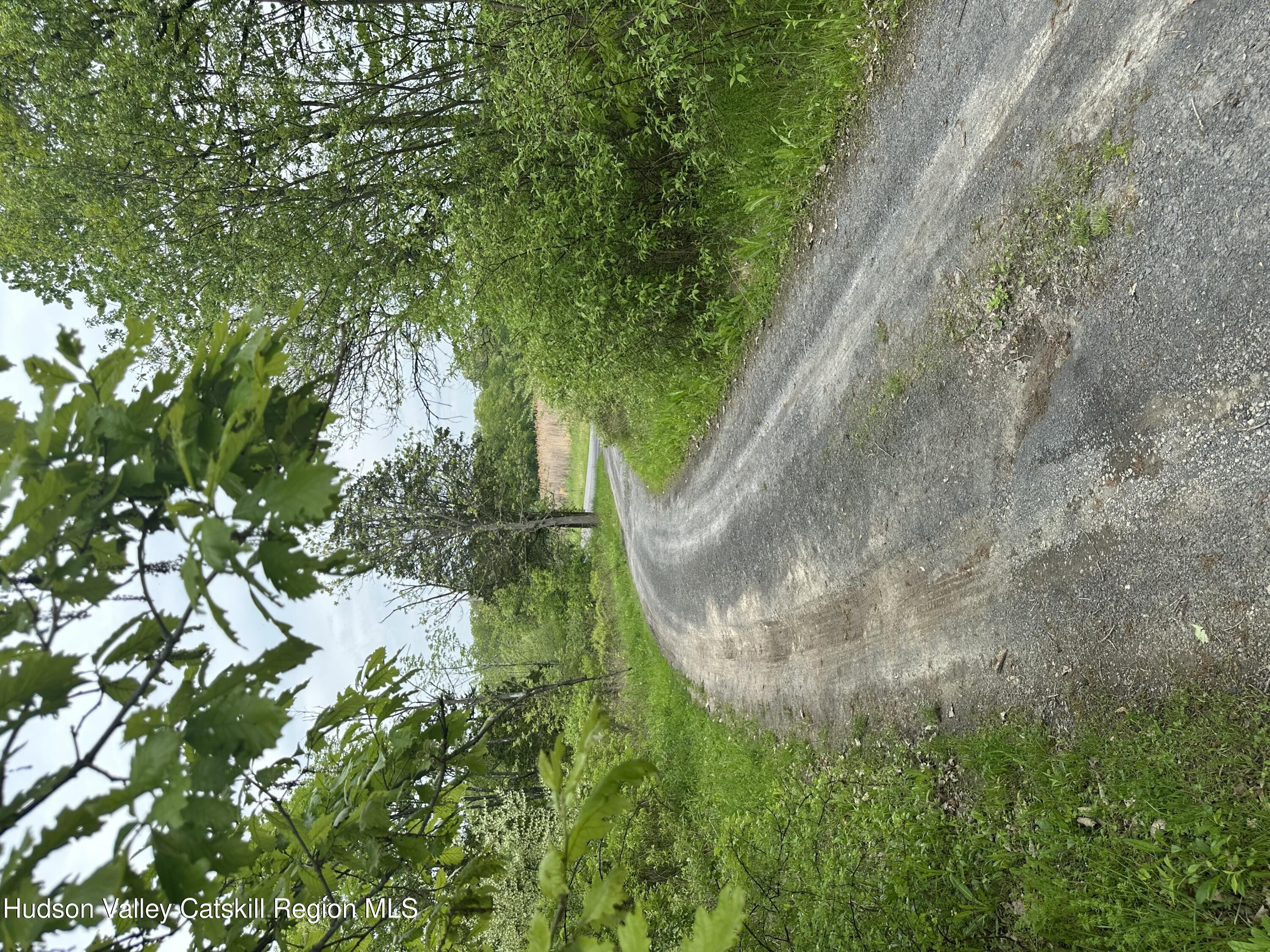 Property Photo: 165 W Camp NY 12477