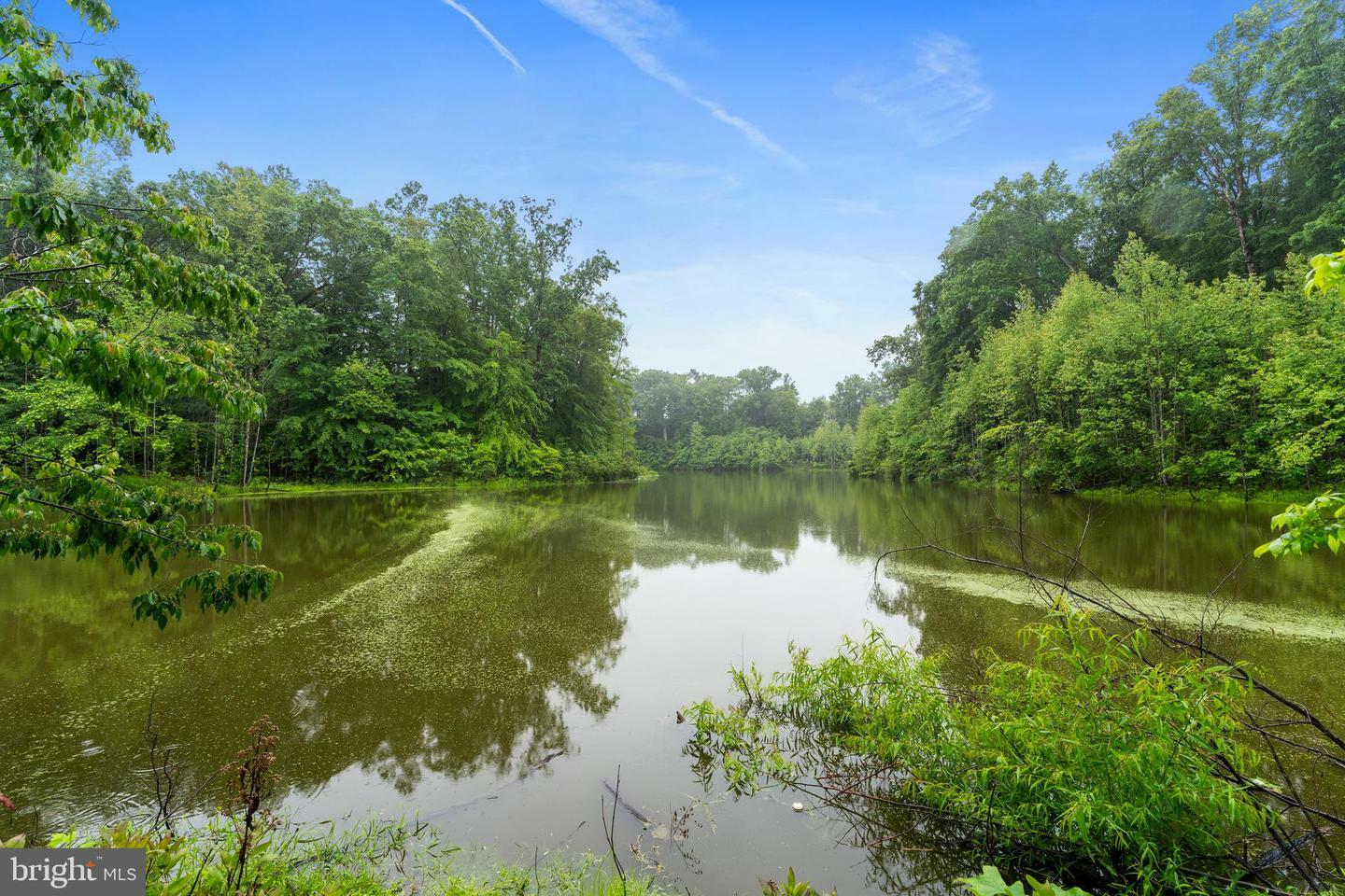 Property Photo: 35 March Court VA 22406
