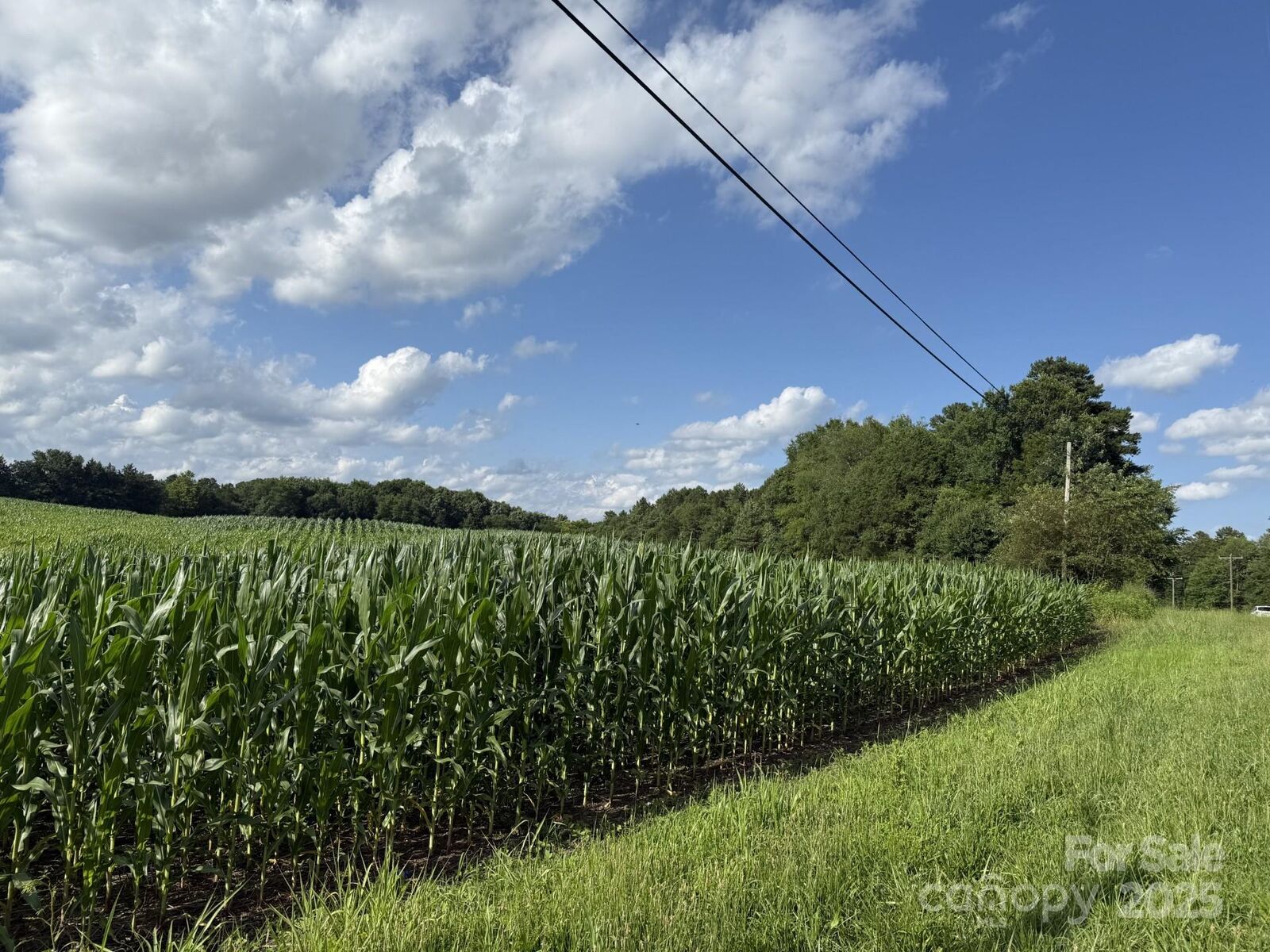 Property Photo:  11769 Nc Hwy 73 Highway E  NC 28124 