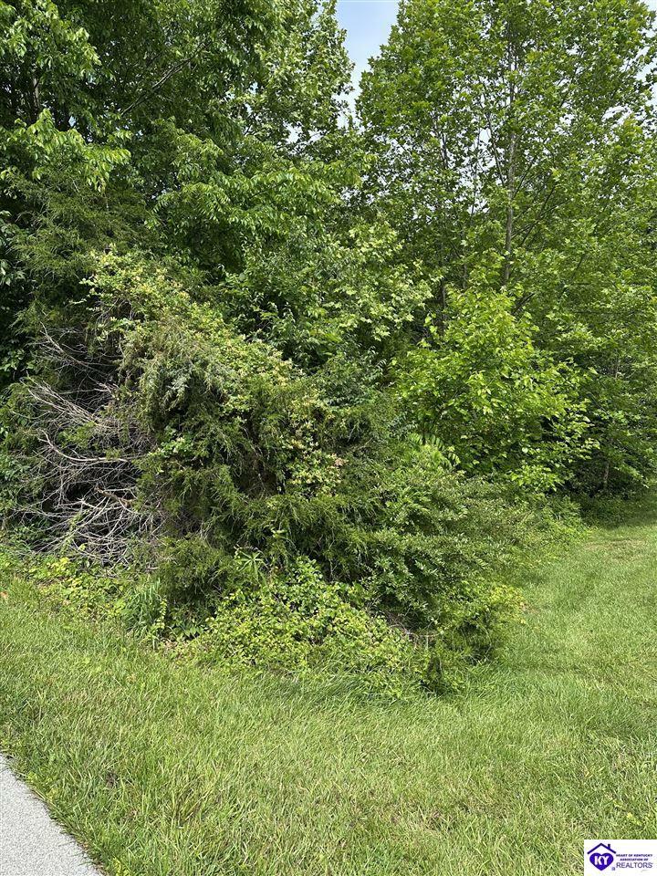 Property Photo: 0 Deer Run Way KY 42701