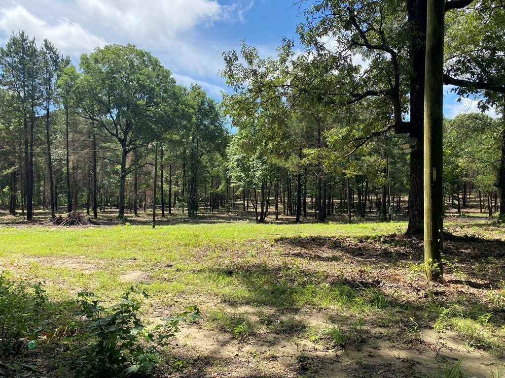 Property Photo: Tba-A Cr 3853 TX 75954