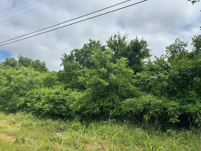 309 S Denton Street  Mexia TX 76667 photo