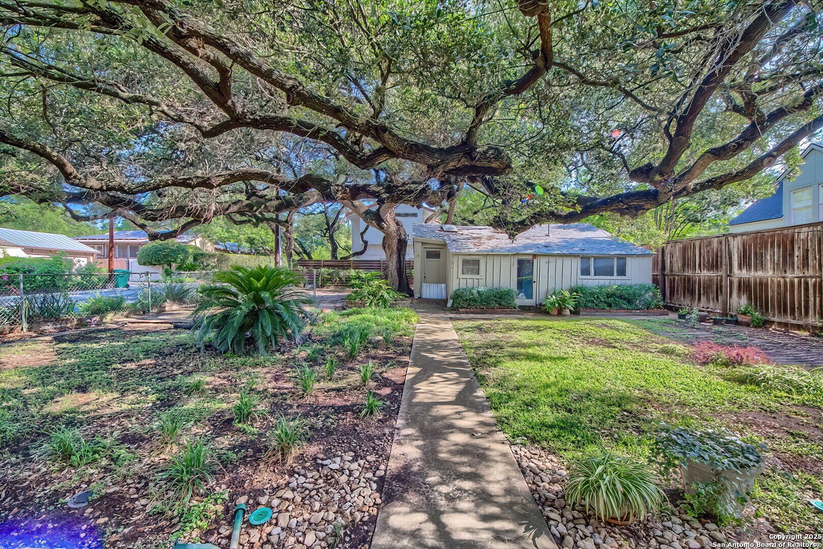 Property Photo: 321 College TX 78209