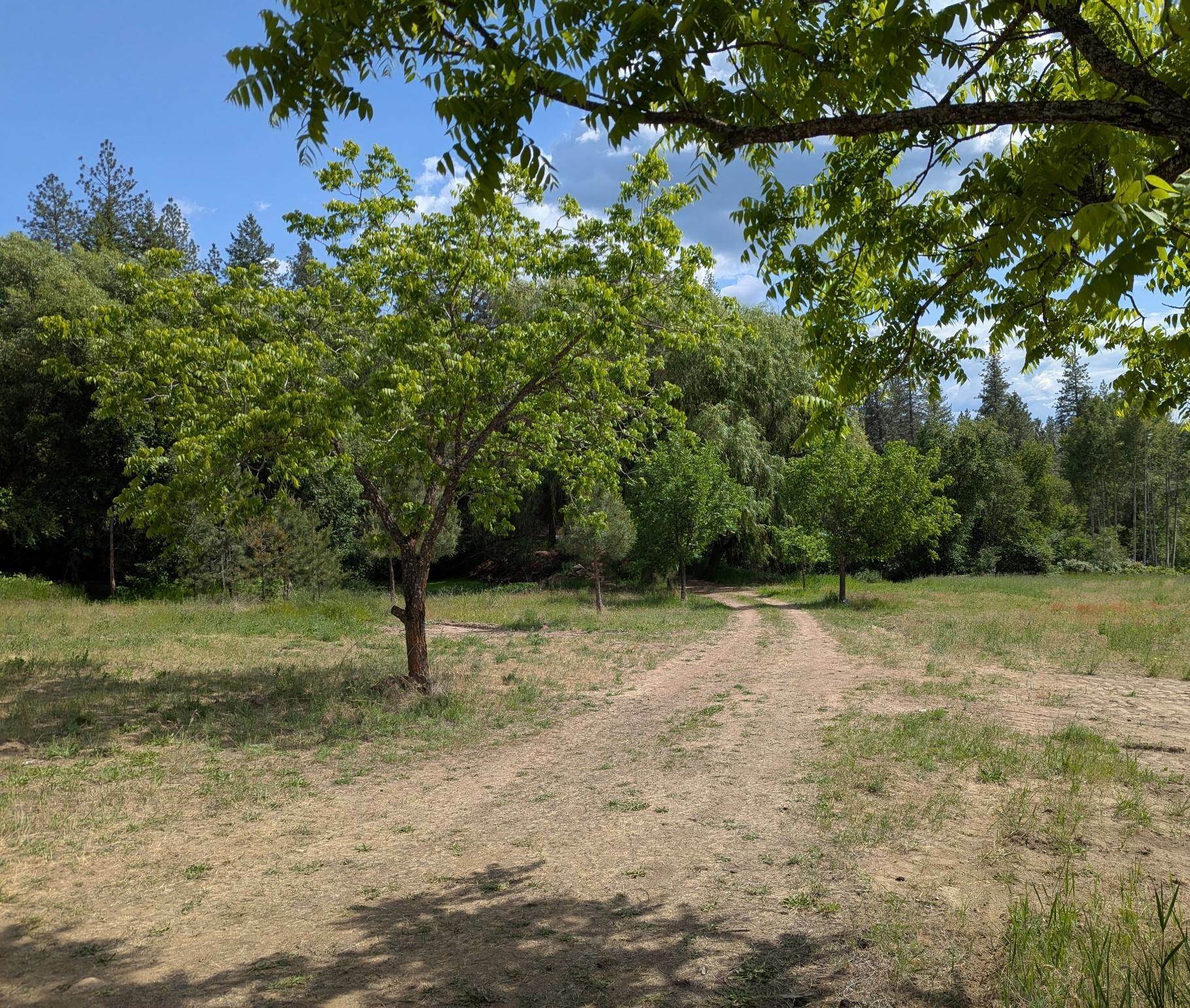 Property Photo: 29511 N Schwachtgen Rd WA 99003