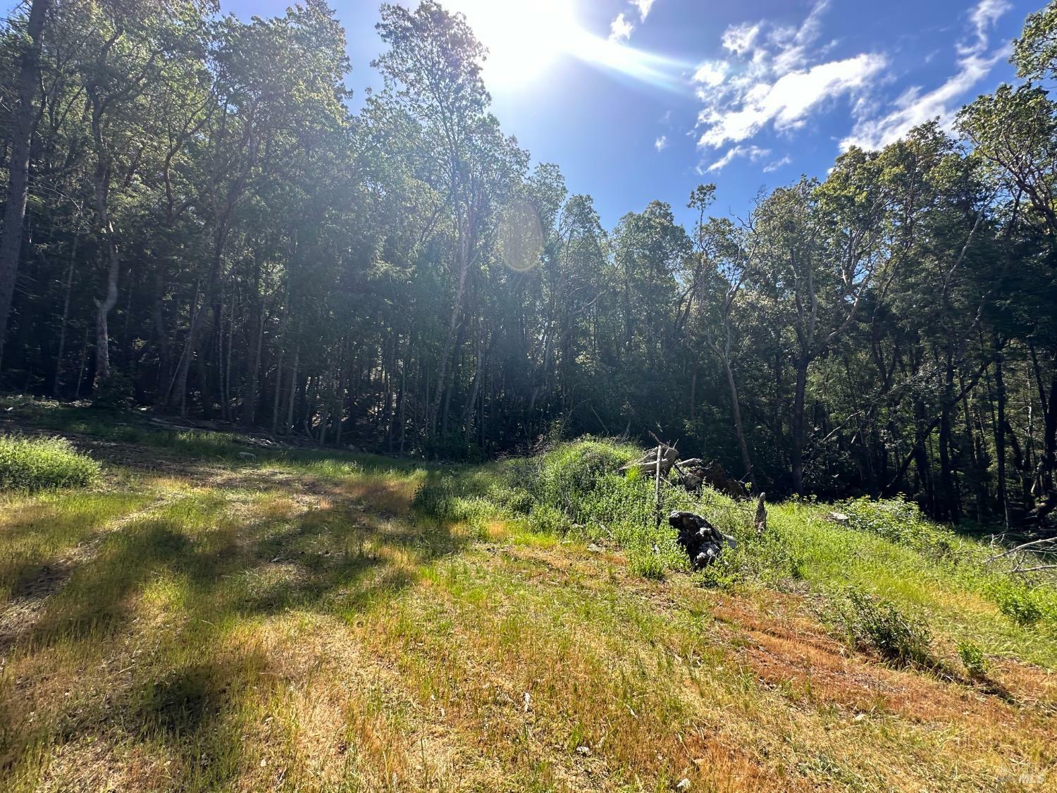 Property Photo: 0 Little Dan Creek Road CA 95585