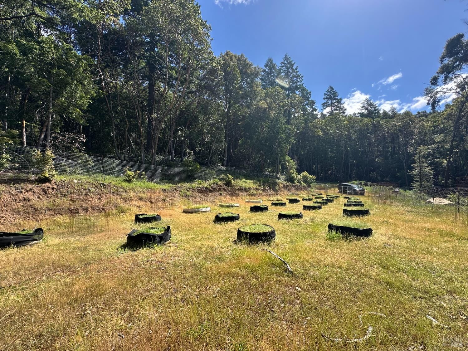 Property Photo:  0 Little Dan Creek Road  CA 95585 