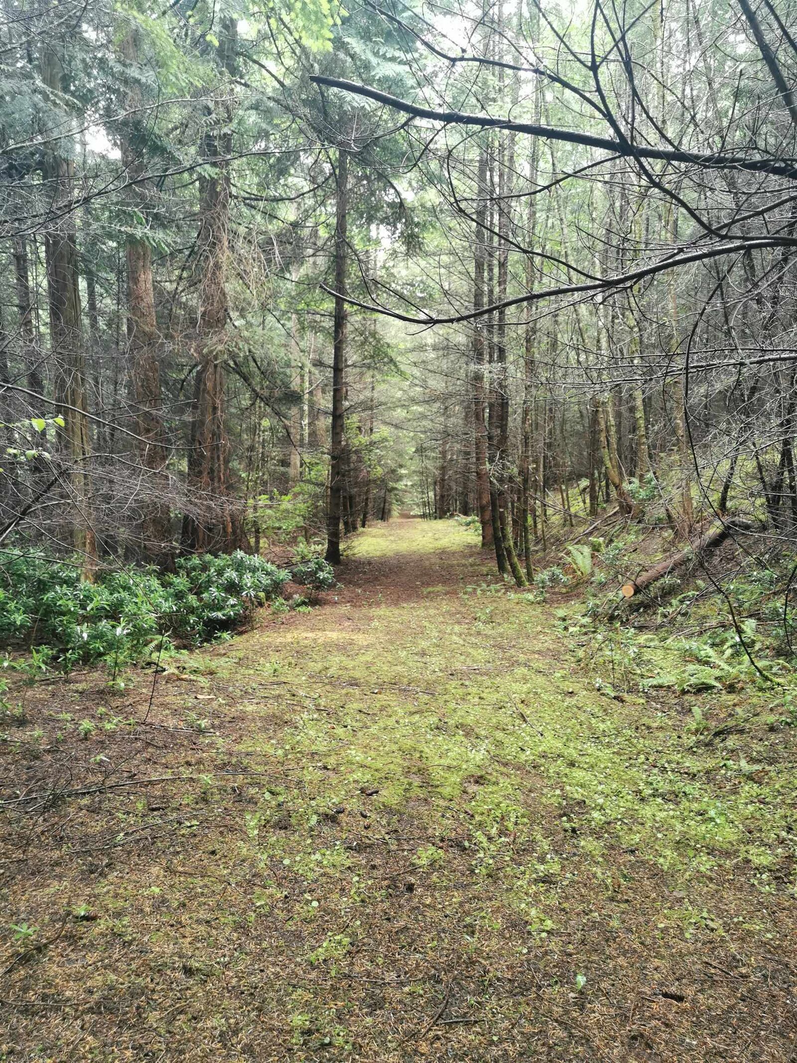 Property Photo: 706 Fernhill Road BC V0N 2J1