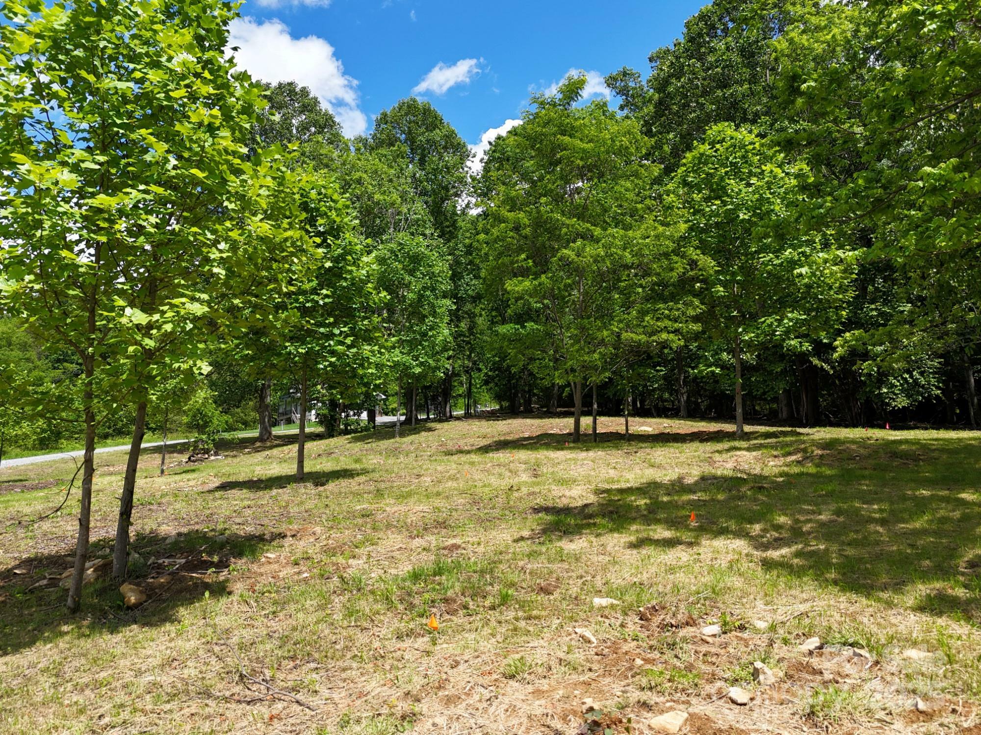 Property Photo:  280 Split Pine Cove  NC 28721 