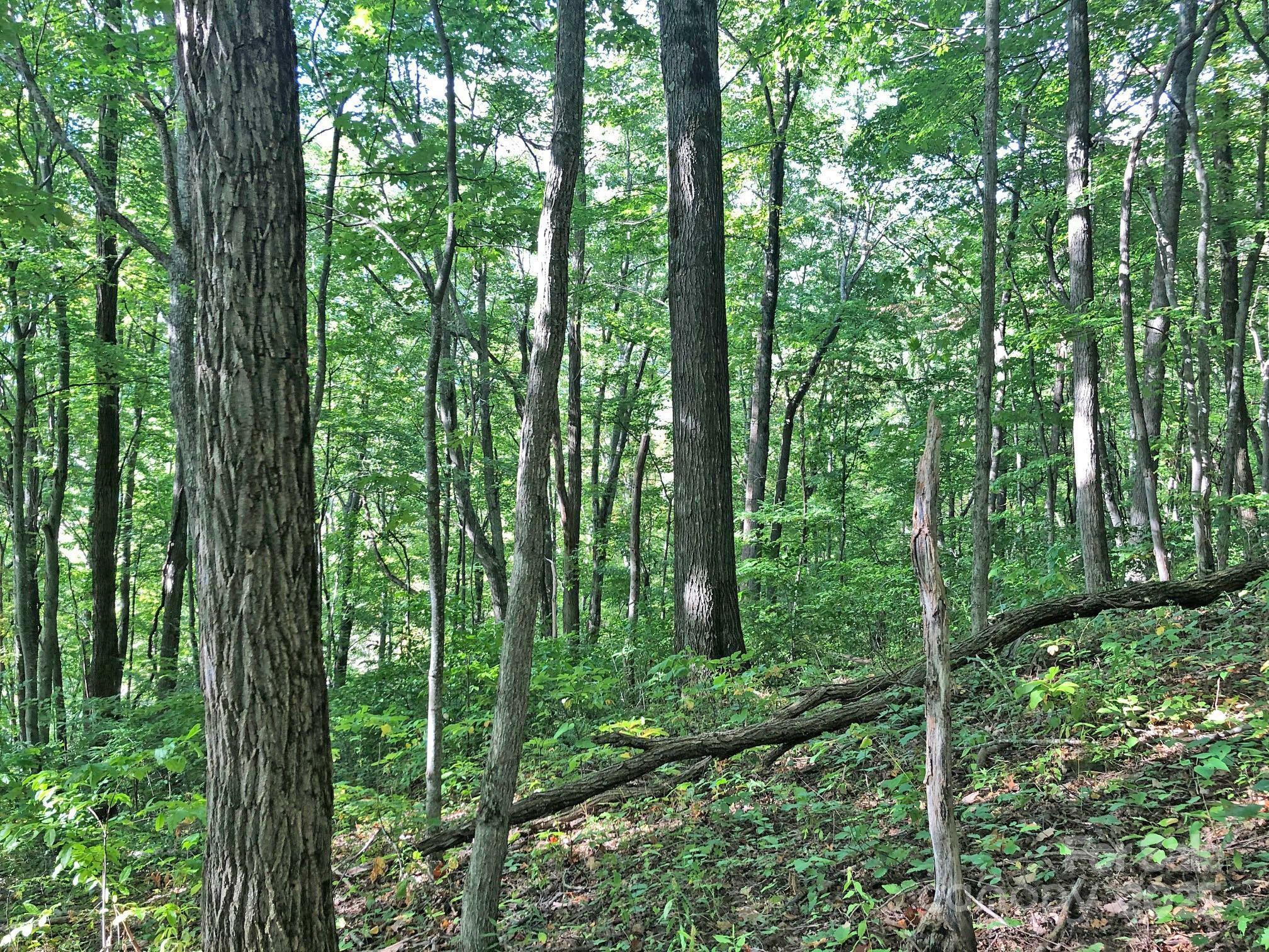 Property Photo: 112 &Amp 113 Grouse Road NC 28721