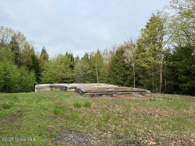 Property Photo:  90 Indian Summit Drive  NY 12814 