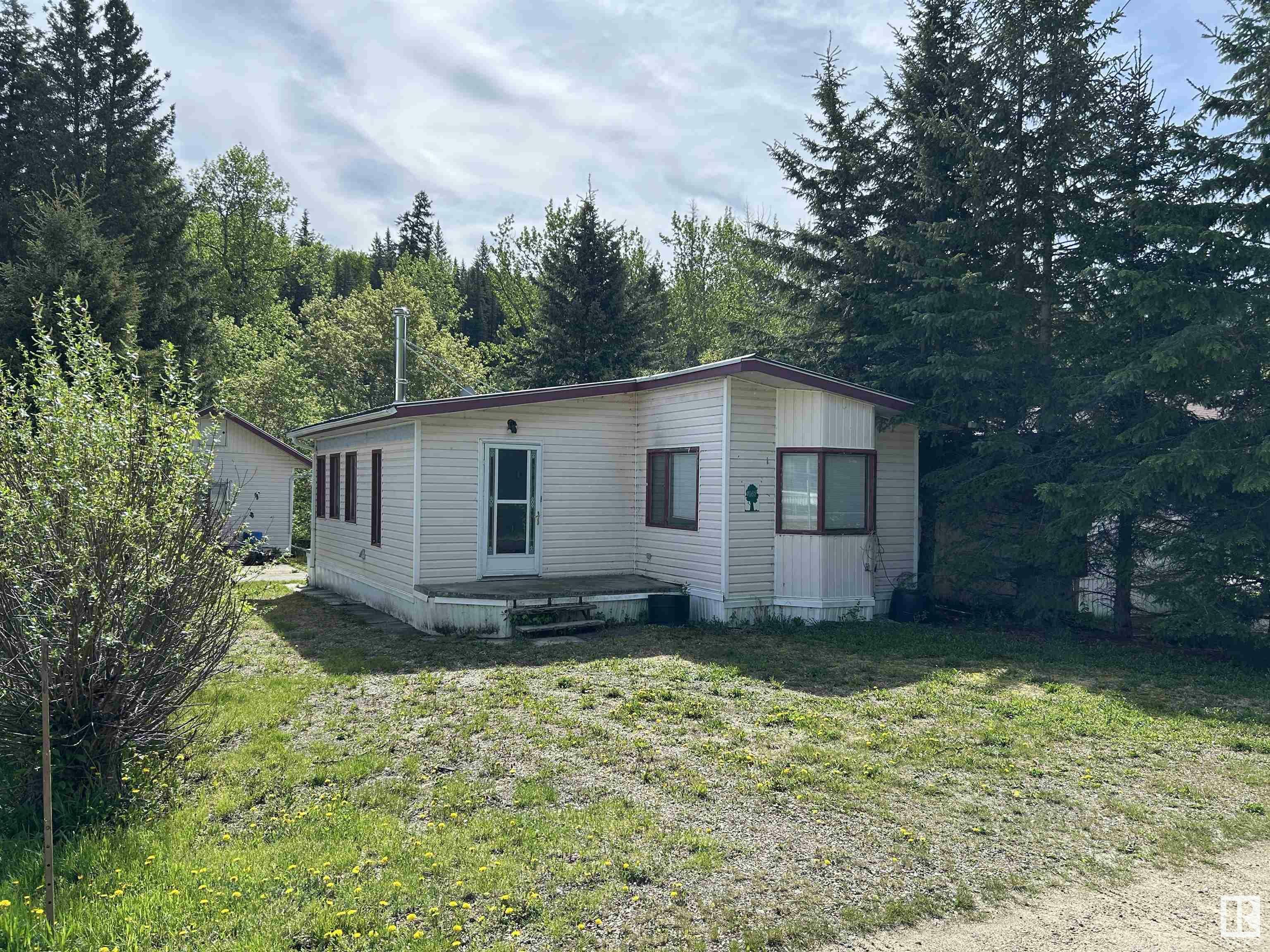 147 Cedar Glen  Rural Brazeau County AB T0C 1W0 photo