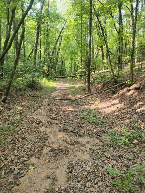 Property Photo: 11.12 Lowman Road GA 30536