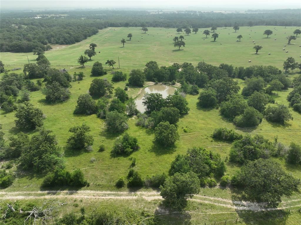 Property Photo: Tbd County Road 446 Lane TX 77878