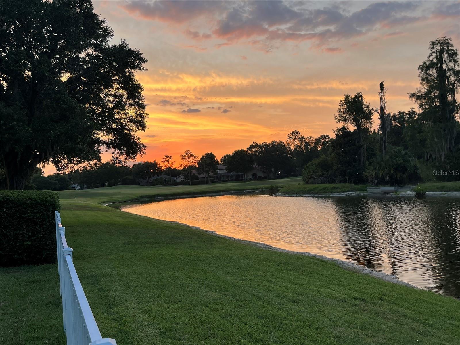 Property Photo: 9348 Deer Creek Drive FL 33647