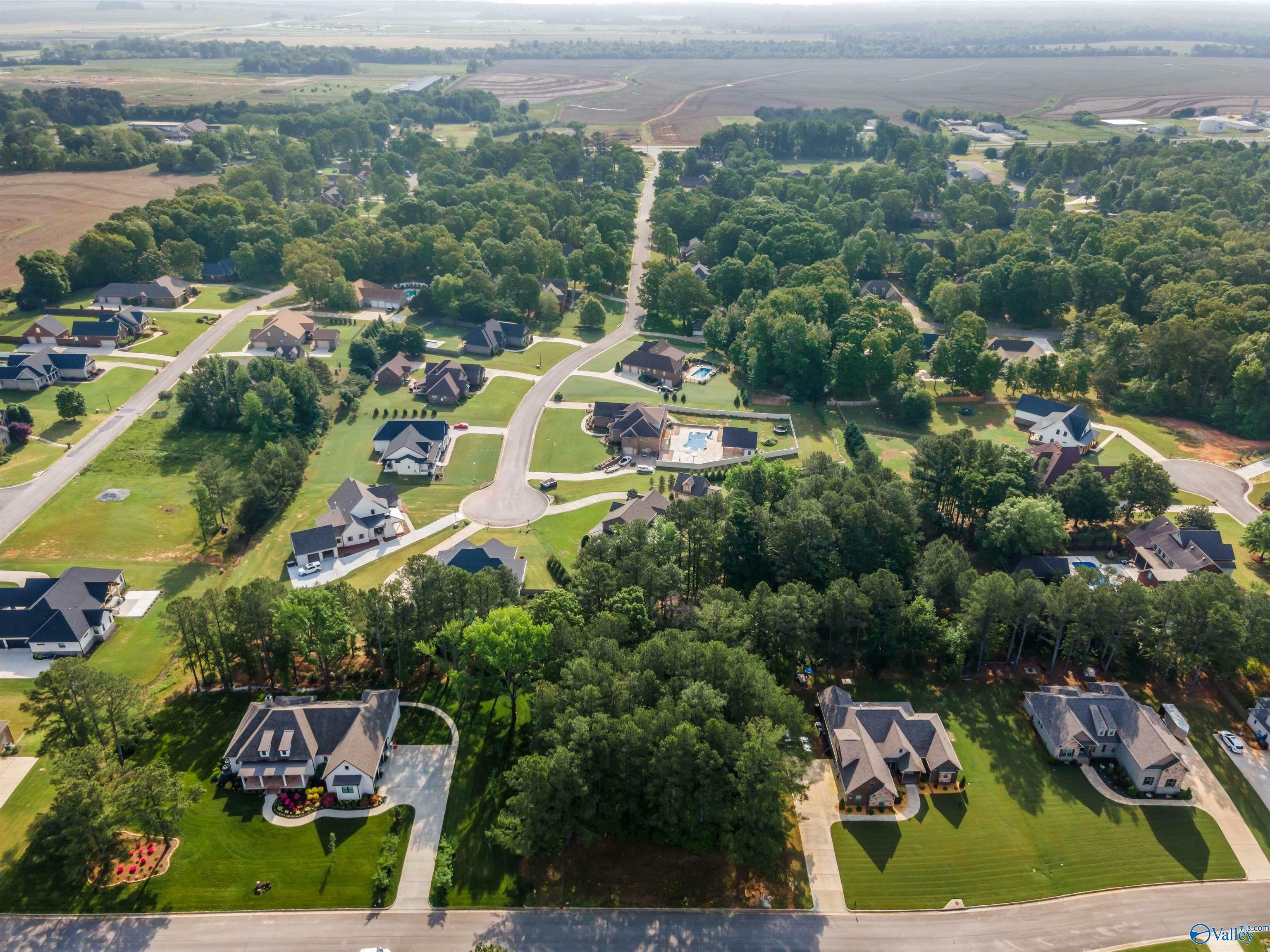 Lot 166 Capitol Hill Drive  Tanner AL 35671 photo