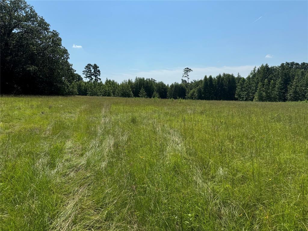 Property Photo:  00 Couty Road 4426  TX 75494 