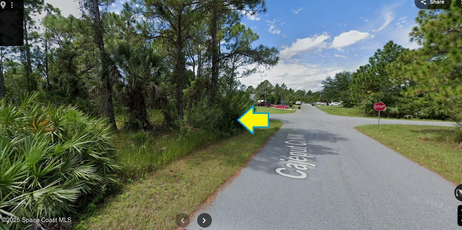 Property Photo: 1833 Corner Lot On Cajeput Court NW FL 32907
