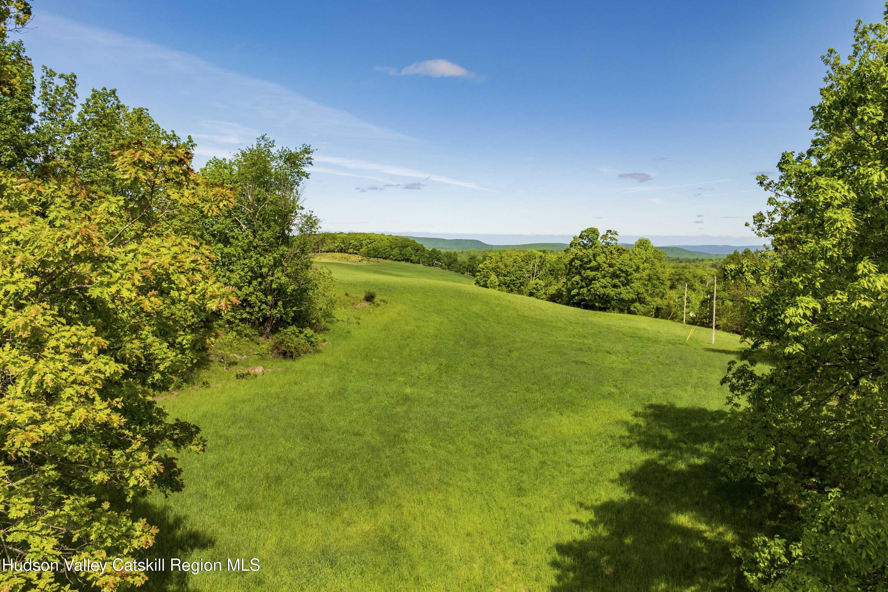 Property Photo: 15 Red Rock NY 12489