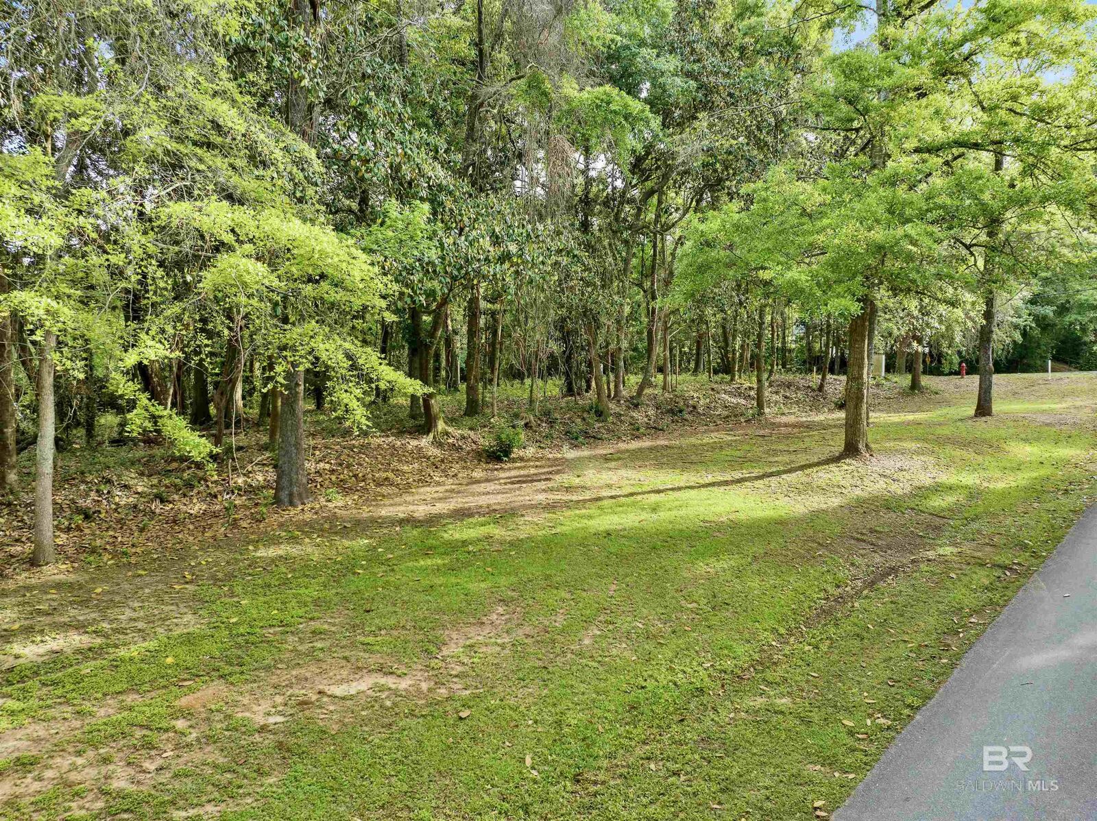 Property Photo: 23699 Main Street AL 36532