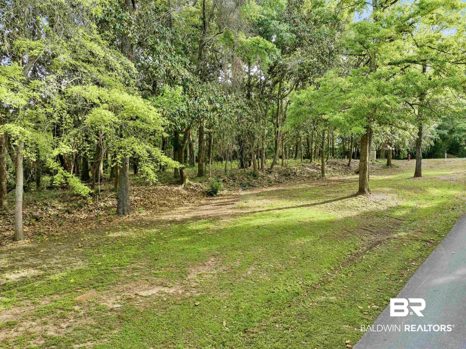 Property Photo:  23699 Main Street  AL 36532 