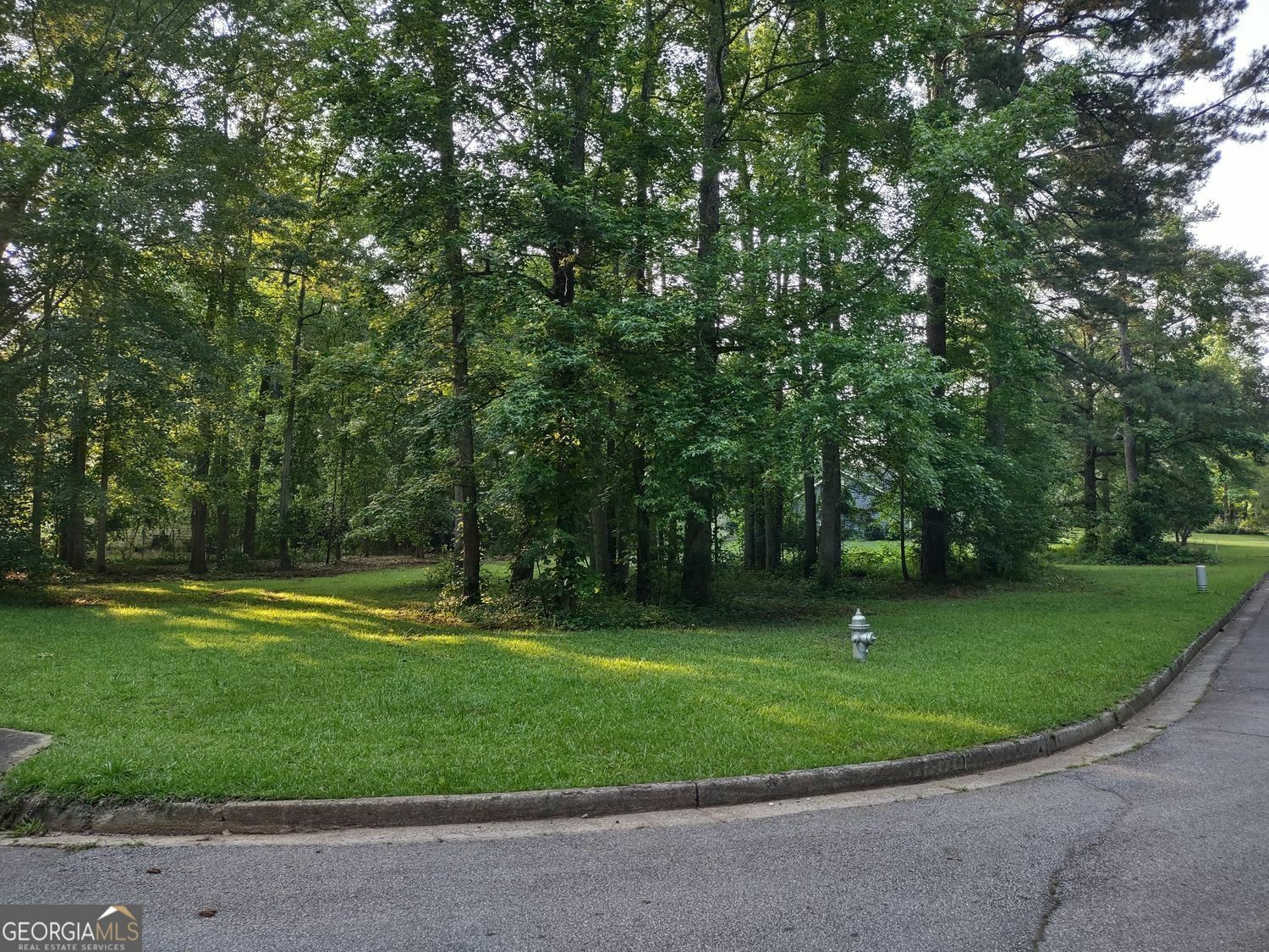 Property Photo: 0 Pine Tree Drive Lot 39 GA 30252