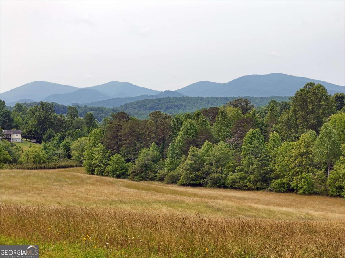 7.85 Ac Lower Trackrock Road Tr1a71b  Blairsville GA 30512 photo