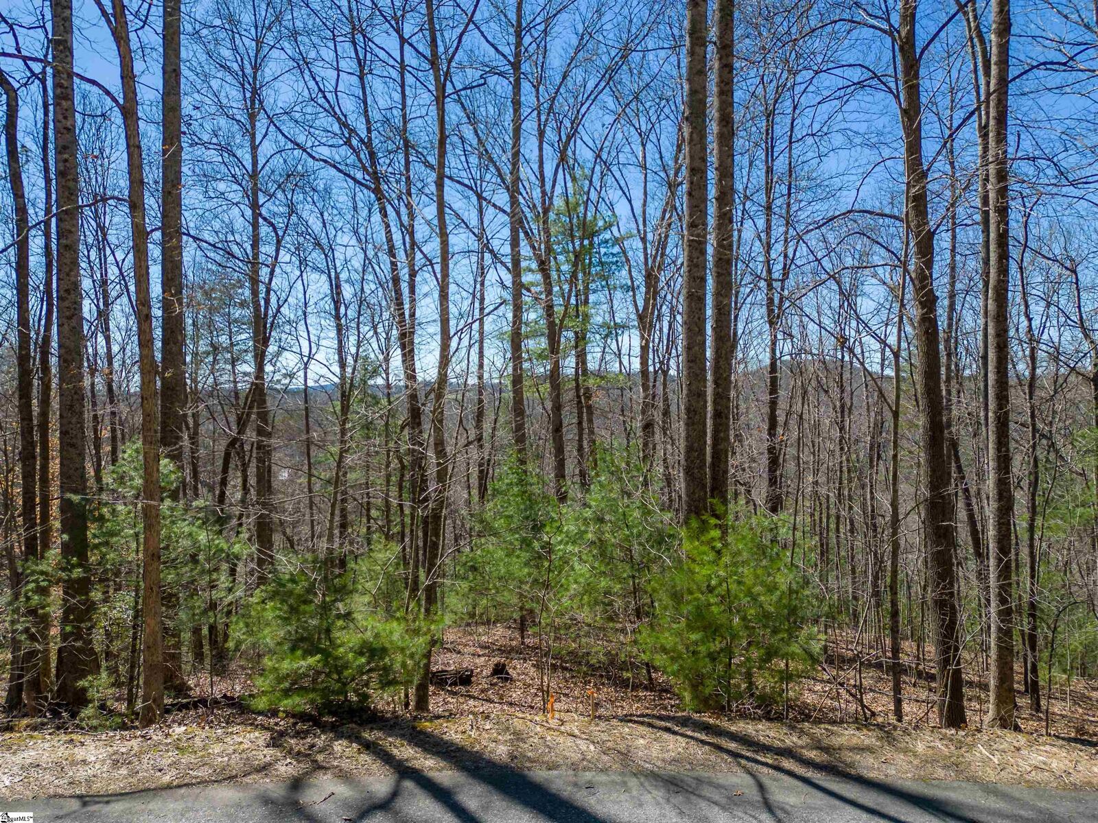 Property Photo:  132 Overlook Park Drive  NC 28792-6484 