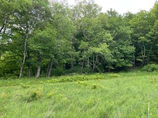Property Photo: 4950 Route 44 NY 12501