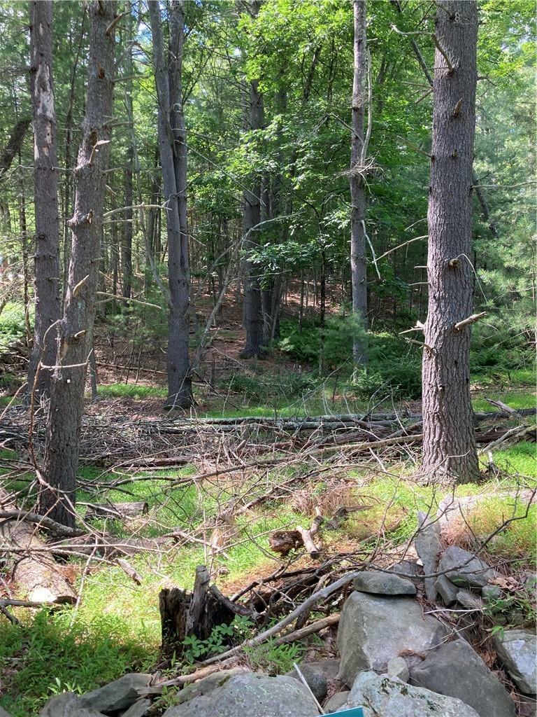 Property Photo: Irishtown Road NY 12764