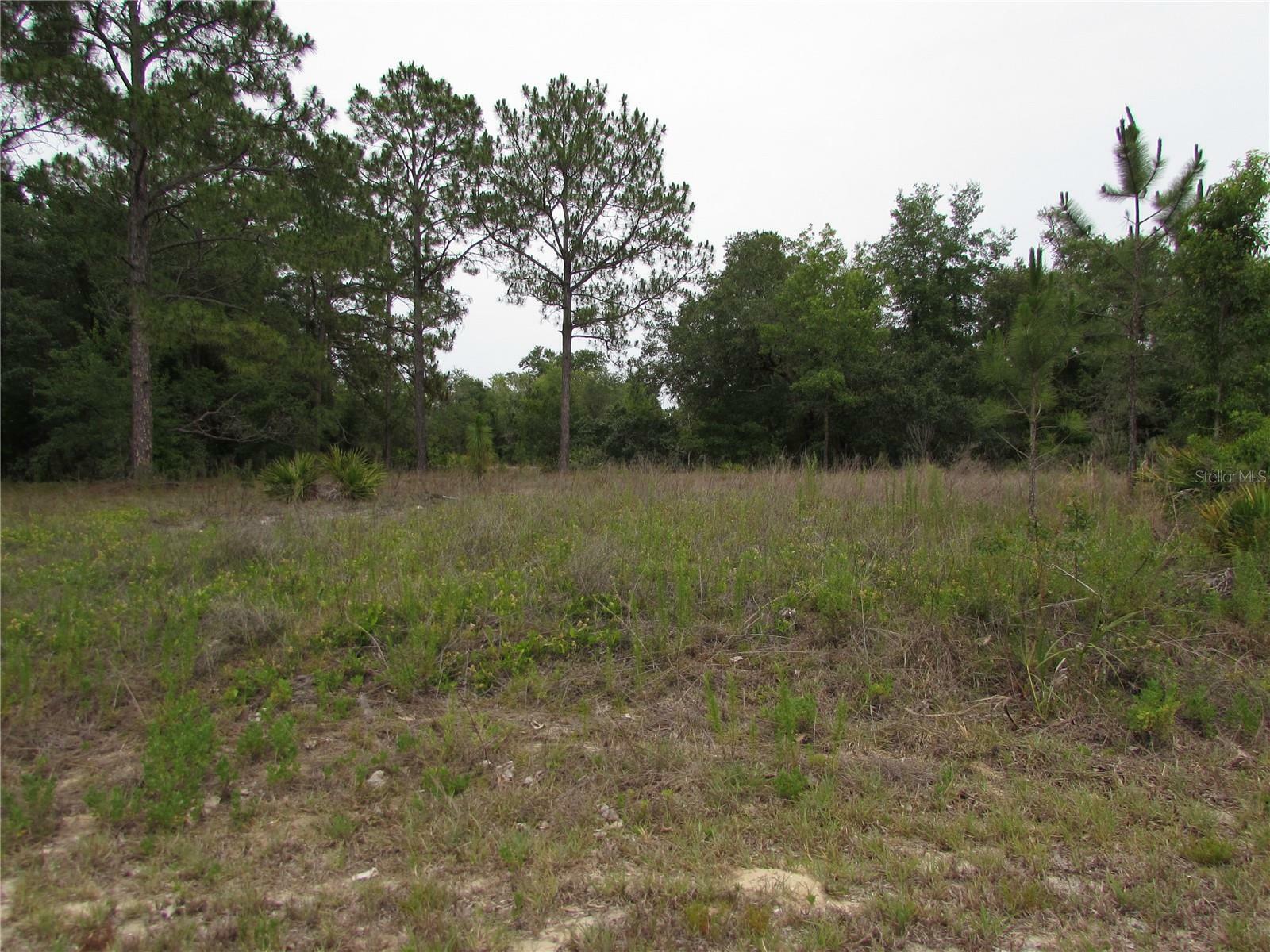 Property Photo: Lot 40 SW South Wind Court FL 34431