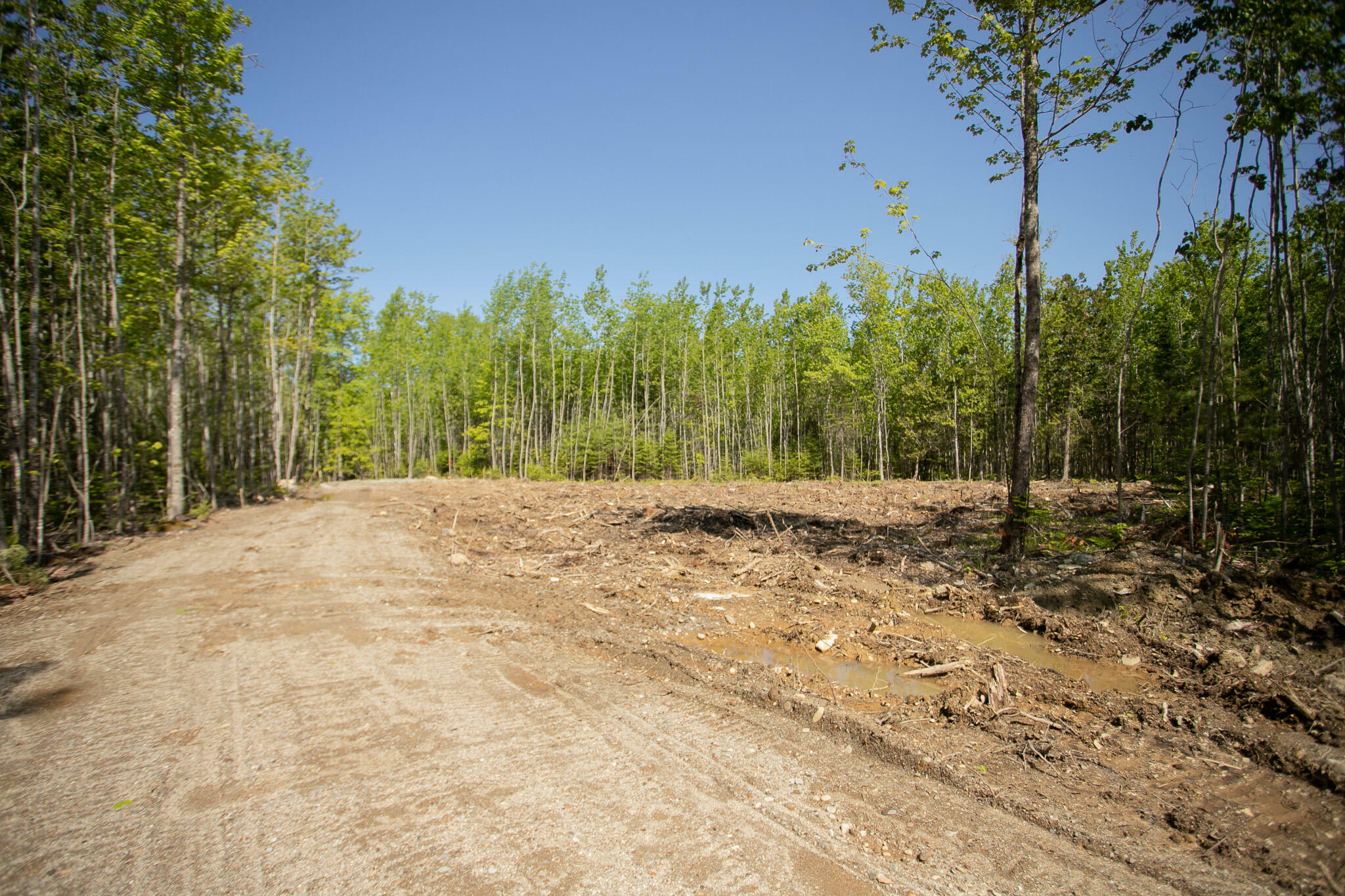 Property Photo: 491 Hawks Crossing ME 04401