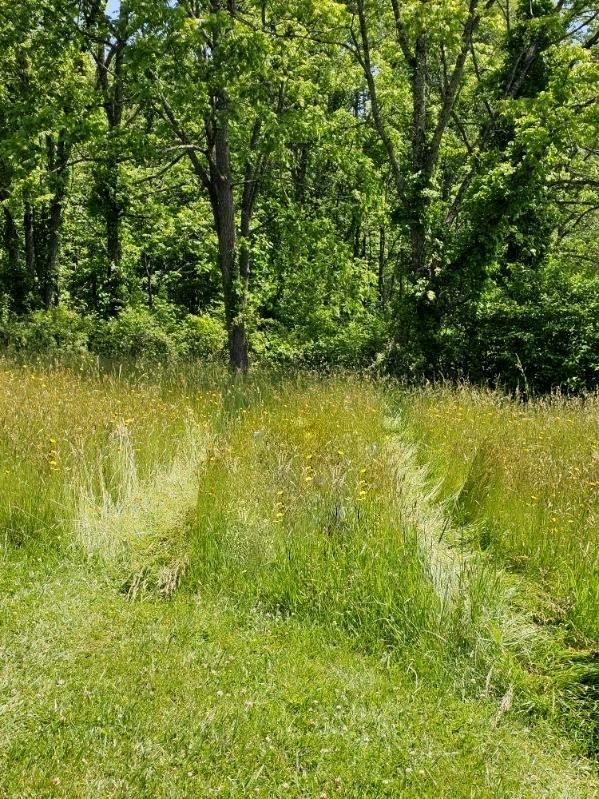 Property Photo: 0 Red Oak Ridge Road WV 24701