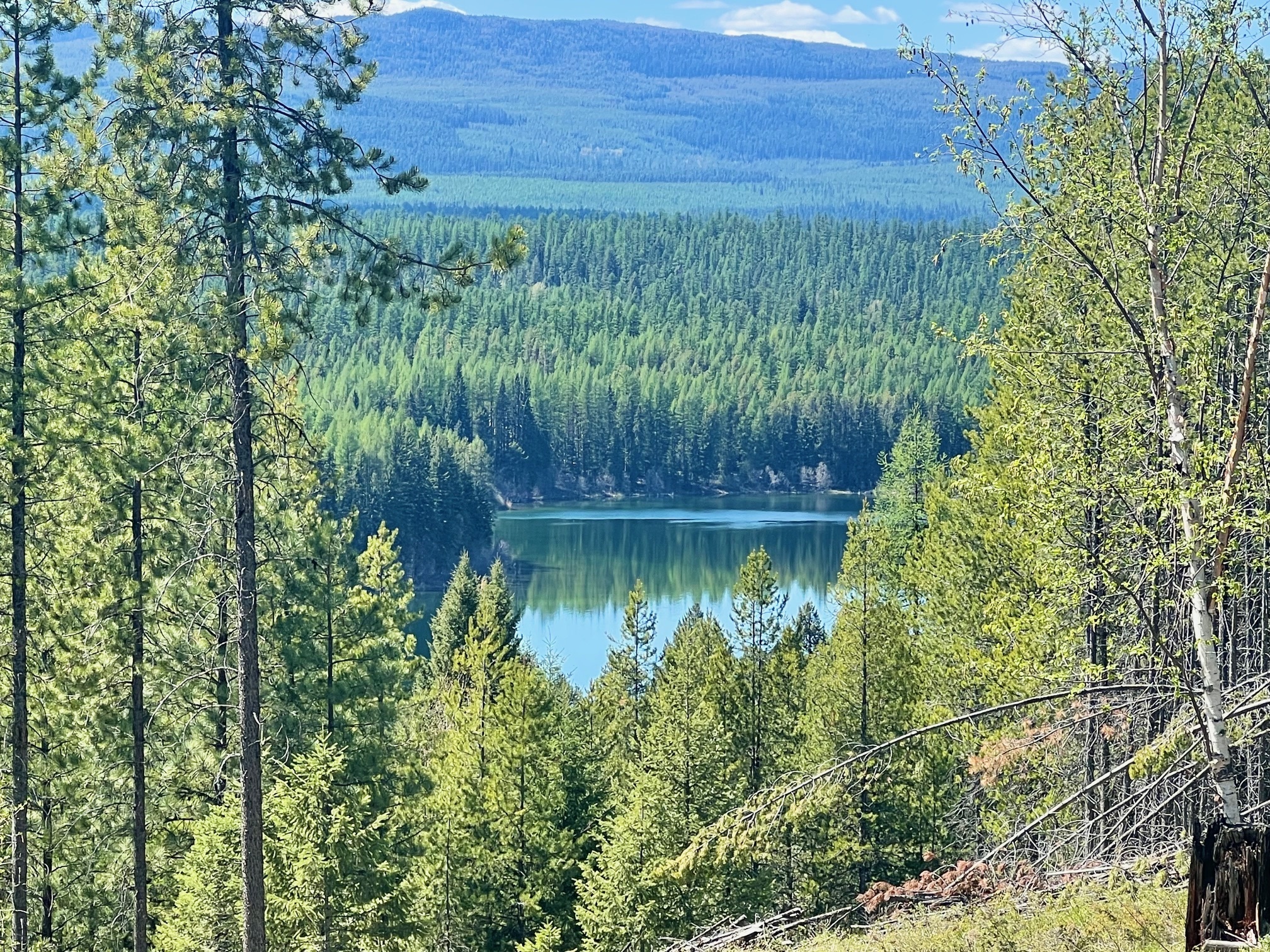 Property Photo: 1810 Lupfer Loop Road MT 59927