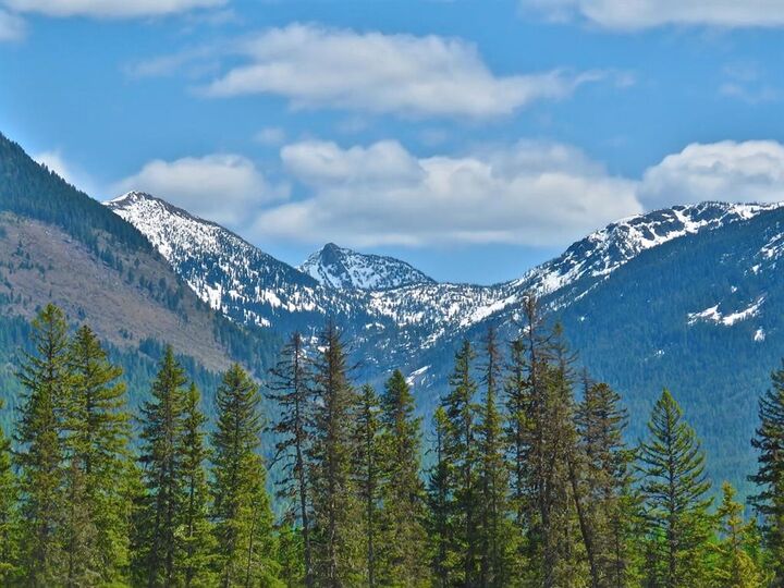 Property Photo: 895 Mud Lake Road MT 59911